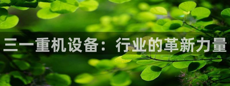 威九国际app网站安全吗
