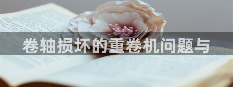 威九国际的女主