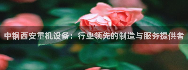 威九国际客服电话人工服务
