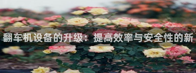 威九国际小说