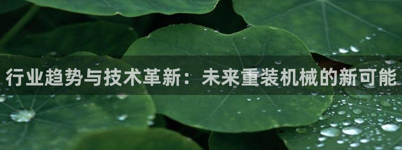 威九国际集团66m一6