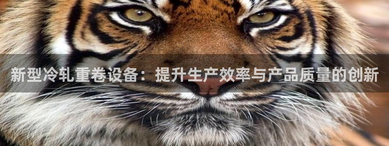 威九国际动漫