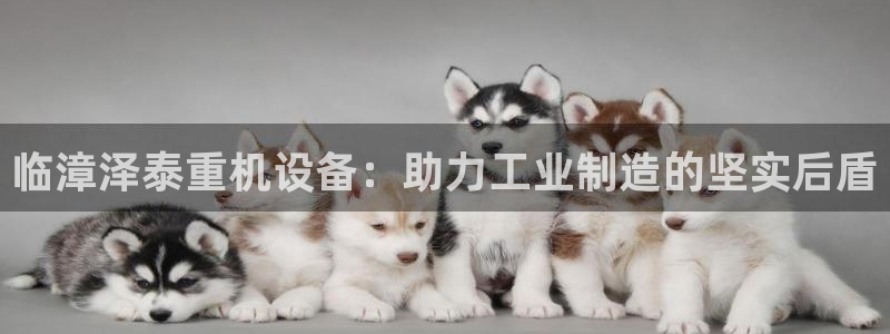 威九国际如何下载