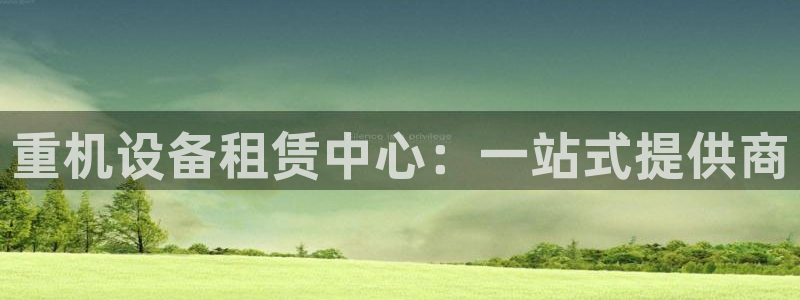 威九国际ppt免费下载网址
