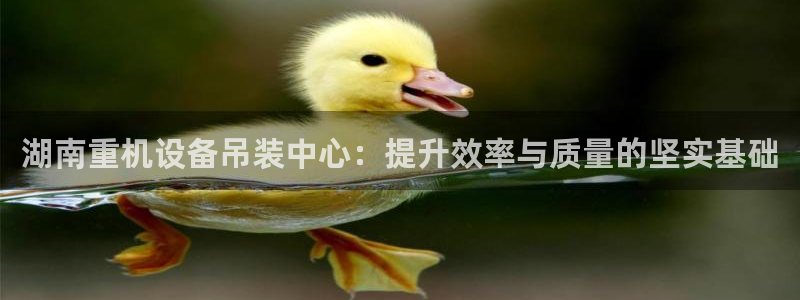 威九国际海域