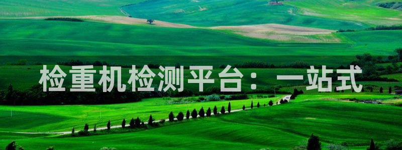 威九国际软件