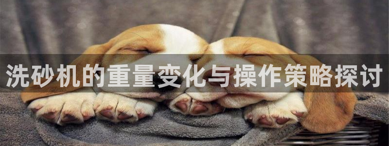 威九国际客服电话号码