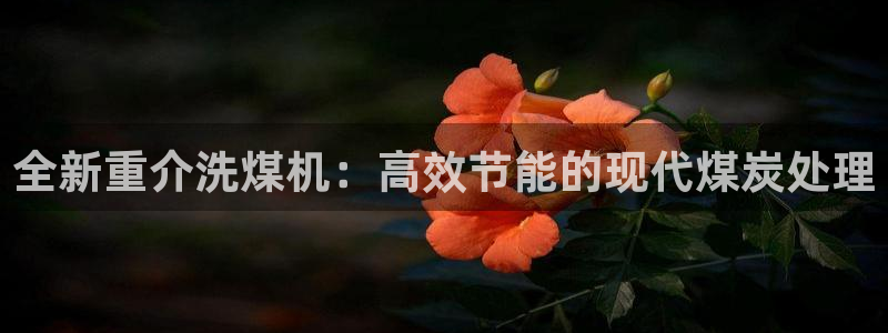 威九国际网站进入(中国)有限公司-官网