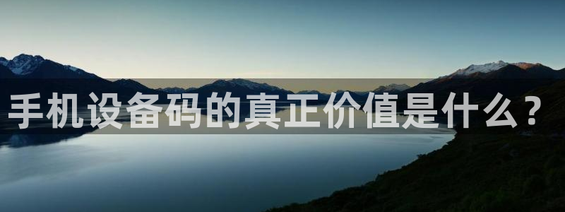 威九国际78mb游戏：手机设备码的真正价值是什么？