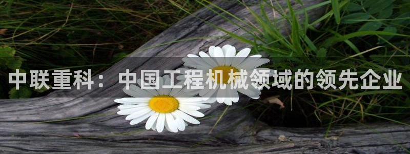 78mapp威九国际成长视频：中联重科：中国工程机械领域的领
