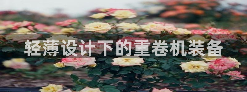 威九国际男演员：轻薄设计下的重卷机装备