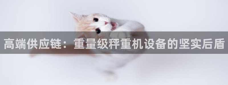 威九国际在线平台怎么样啊：高端供应链：重量级秤重机设备的坚实