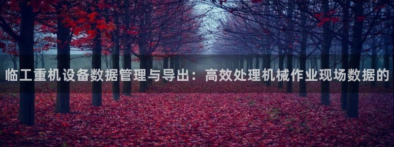 威九国际新人白发：临工重机设备数据管理与导出：高效处理机械作