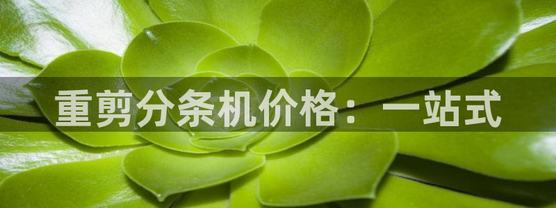 威九国际网页看视频弹窗的广告拦截插件：重剪分条机价格：一站式
