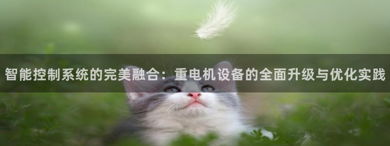 威九国际8ⅹ8x：智能控制系统的完美融合：重电机设备的全面升