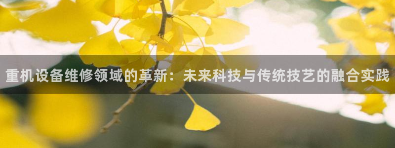 威九国际v18：重机设备维修领域的革新：未来科技与传统技艺的