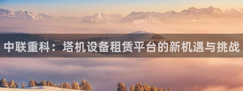 威九国际电子有限公司：中联重科：塔机设备租赁平台的新机遇与挑