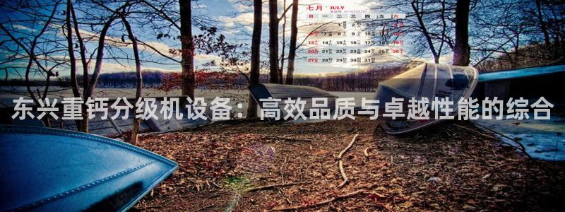 威九国际精选酒店地址：东兴重钙分级机设备：高效品质与卓越性能