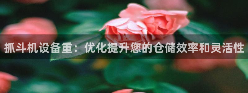 威九国际客服电话：抓斗机设备重：优化提升您的仓储效率和灵活性