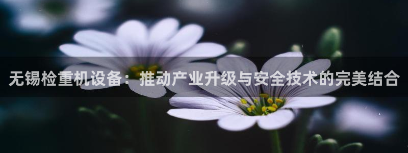 威九国际APP那个地方