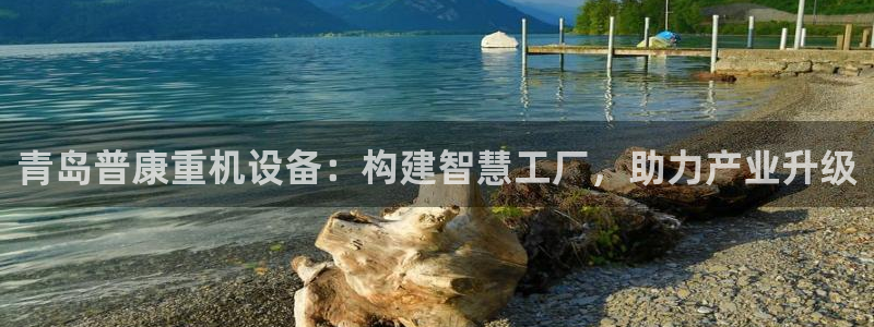 威九国际78mb下载：青岛普康重机设备：构建智慧工厂，助力产