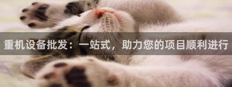 威九国际坑人的嘛：重机设备批发：一站式，助力您的项目顺利进行