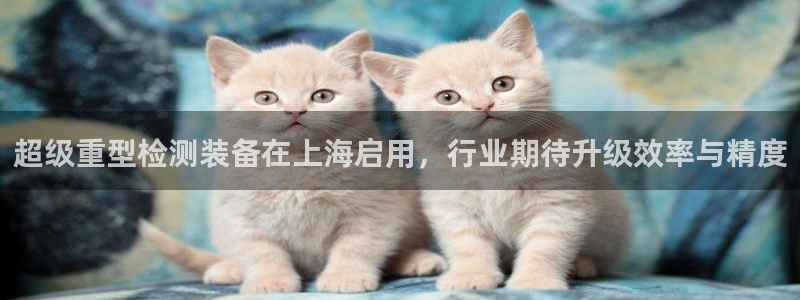威九国际取款机怎么取：超级重型检测装备在上海启用，行业期待升