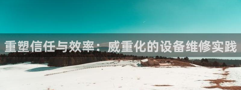 威九国际网站入口官网免费：重塑信任与效率：威重化的设备维修实