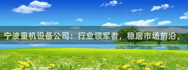威九国际电子有限公司：宁波重机设备公司：行业领军者，稳居市场