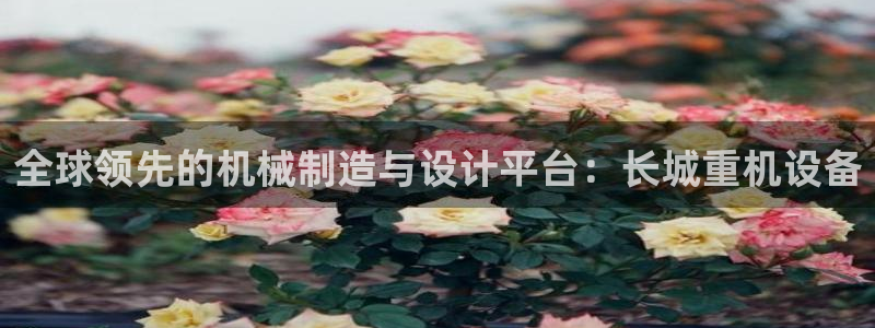 威九国际惠子：全球领先的机械制造与设计平台：长城重机设备