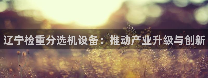 威九国际演员表：辽宁检重分选机设备：推动产业升级与创新