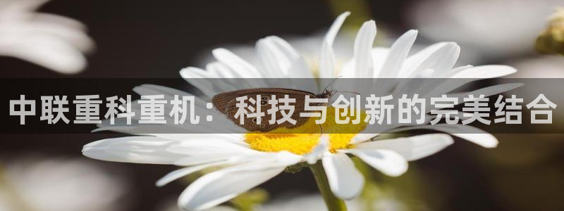 威九国际网站入口rdquo