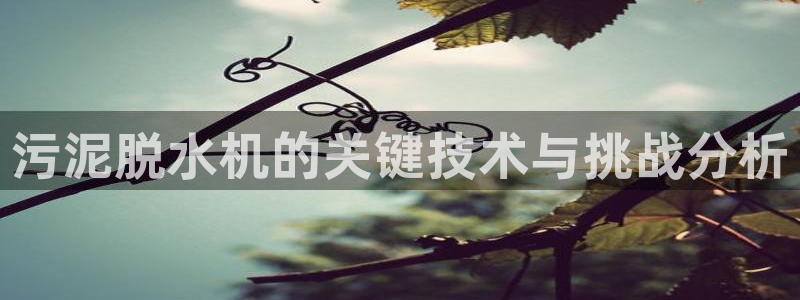 威九国际Info