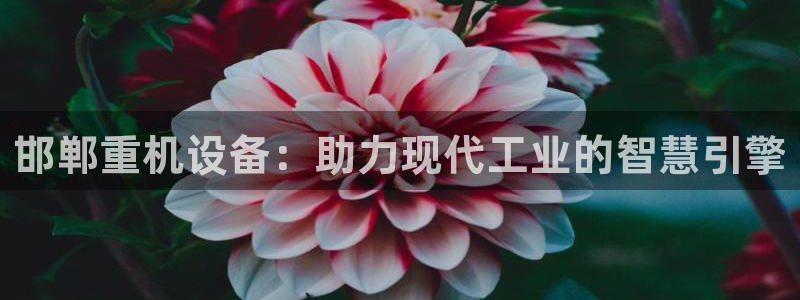 威九国际66视频