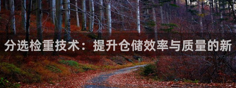 威九国际A