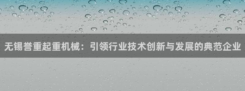 威九国际app入口官网：无锡誉重起重机械：引领行业技术创新与
