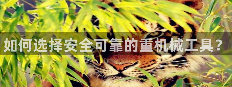威九国际演员表
