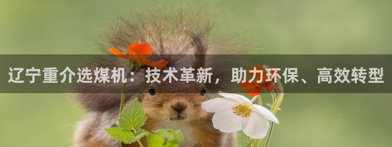 威九国际Info