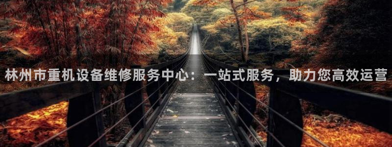 威九国际小广告：林州市重机设备维修服务中心：一站式服务，助力
