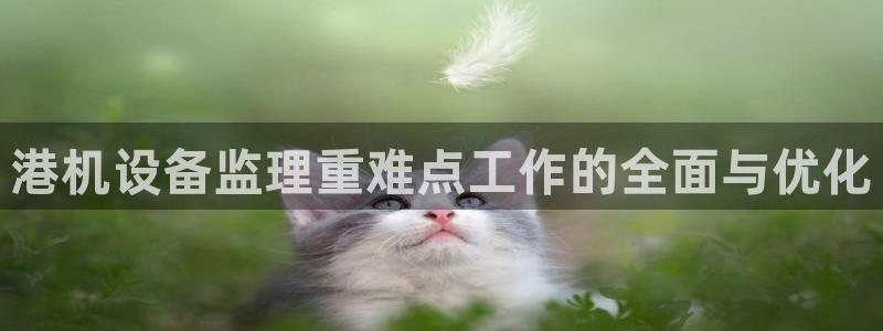 威九国际精甜心诗词网彩片甜心网甜心诗词网：港机设备监理重难点