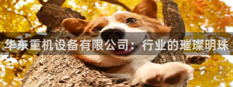 威九国际精甜心诗词网彩片甜心网甜心诗词网