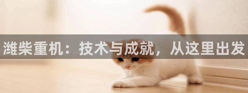 威九国际系列：潍柴重机：技术与成就，从这里出发