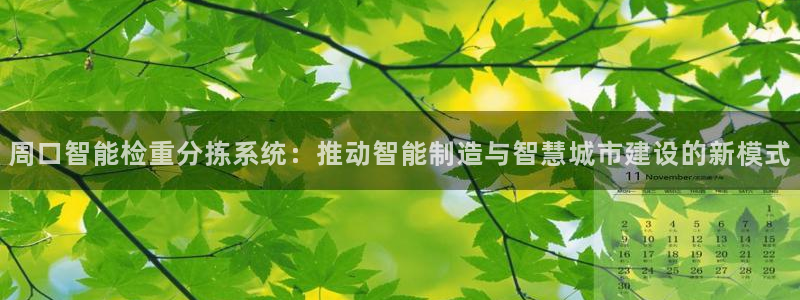 威九国际小说：周口智能检重分拣系统：推动智能制造与智慧城市建