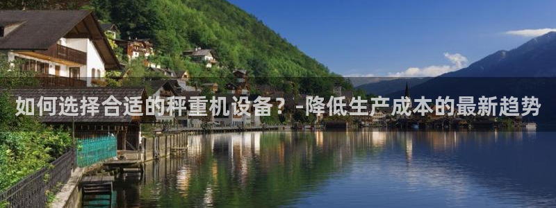 威九国际app下载：如何选择合适的秤重机设备？-降低生产成本