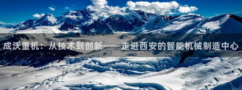 威九国际网站入口地址查询