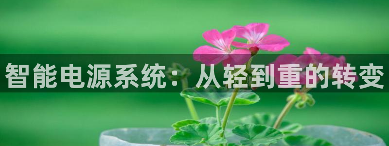 威九国际66m66成长模式：智能电源系统：从轻到重的转变
