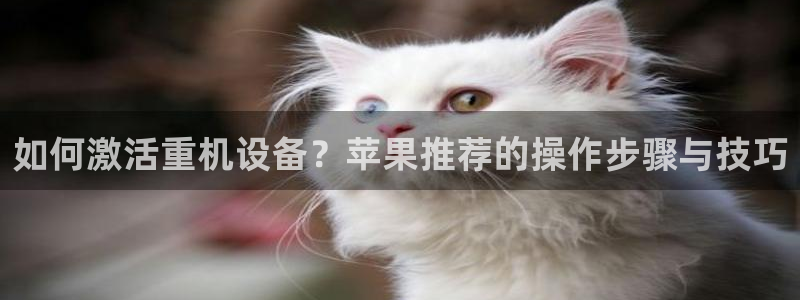 威九国际软件公司简介