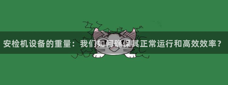 威九国际66m66m：安检机设备的重量：我们如何确保其正常运