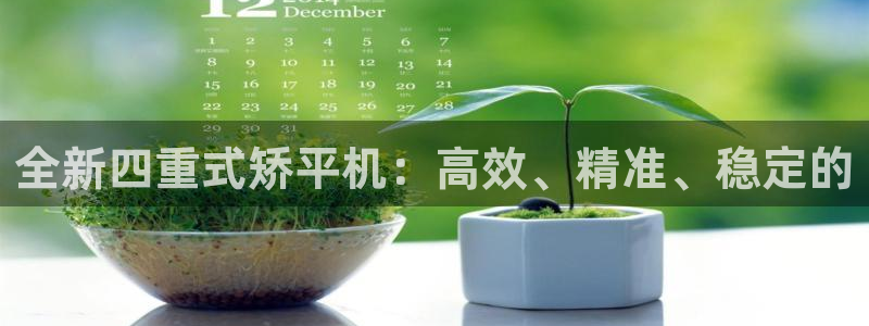 威九国际网页看视频弹窗的广告拦截插件：全新四重式矫平机：高效