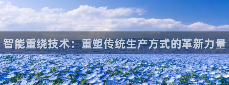 保定威九网络科技有限公司：智能重绕技术：重塑传统生产方式的革